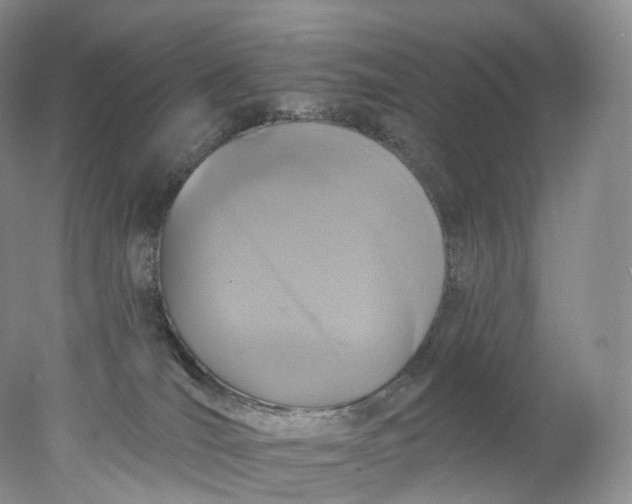 X0000078310036200611172226