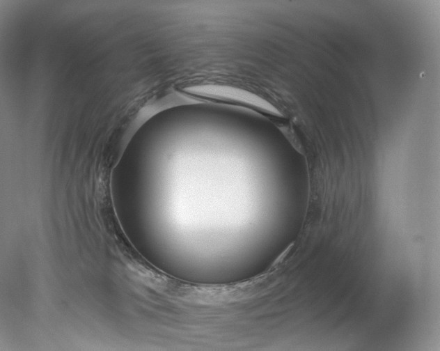 X0000078310037200611172226