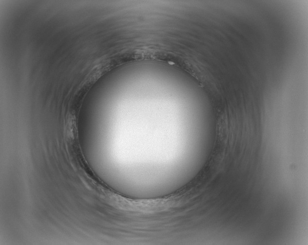 X0000078310038200611172226