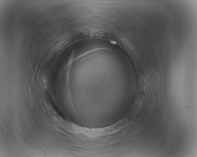 X0000078310039200611172226