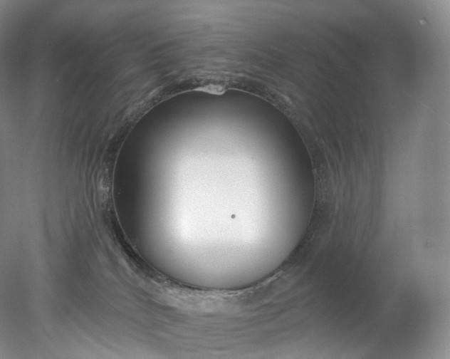 X0000078310040200611172226