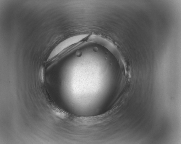 X0000078310041200611172226