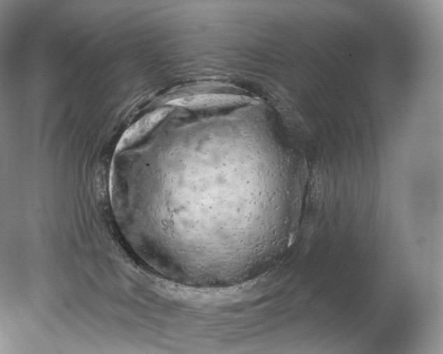 X0000078310043200611172226