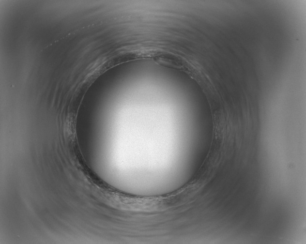 X0000078310044200611172226