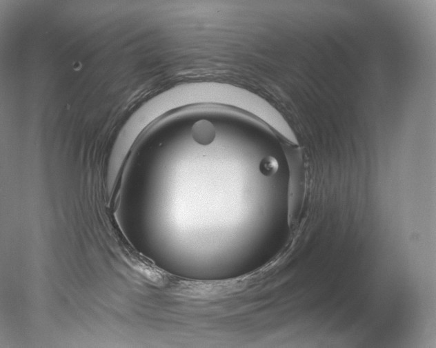 X0000078310045200611172226