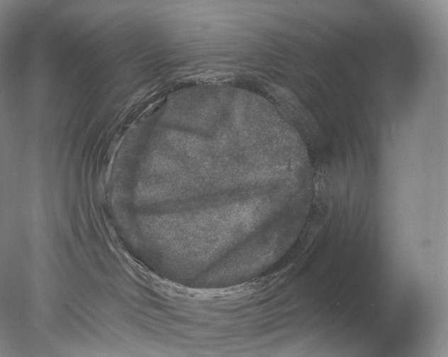 X0000078310046200611172226