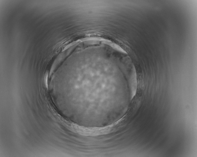 X0000078310047200611172226