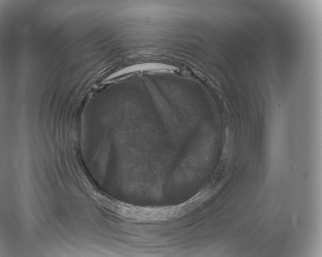 X0000078310048200611172226