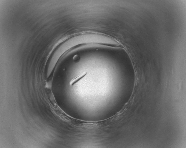 X0000078310050200611172225