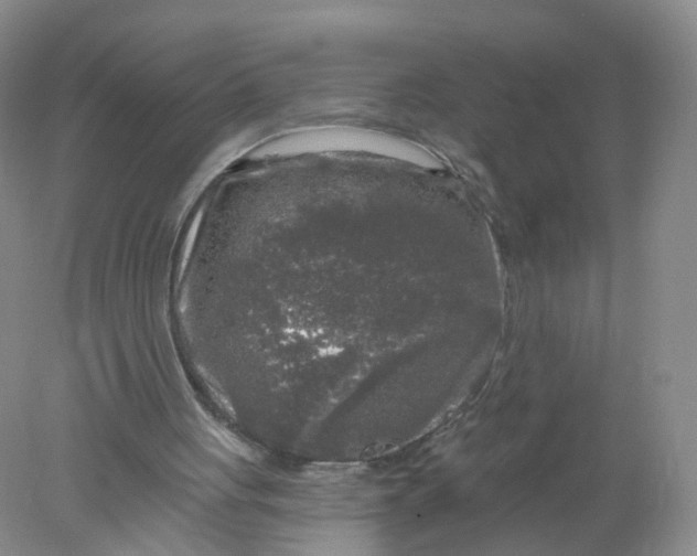 X0000078310051200611172225