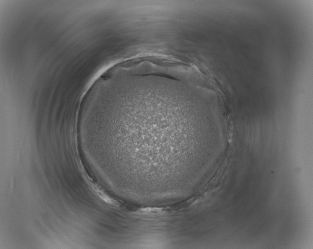 X0000078310052200611172225