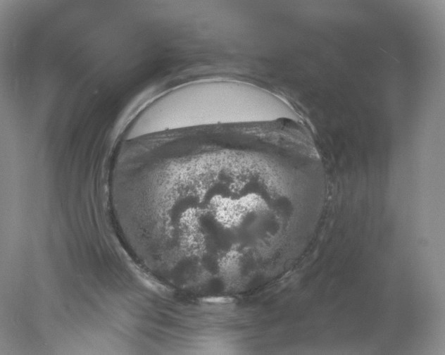 X0000078310053200611172225