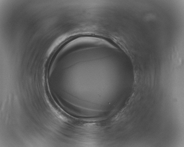 X0000078310054200611172225