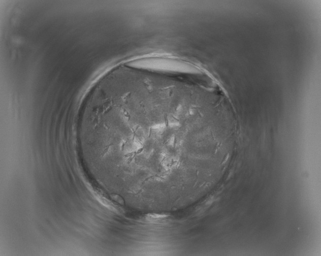 X0000078310055200611172225