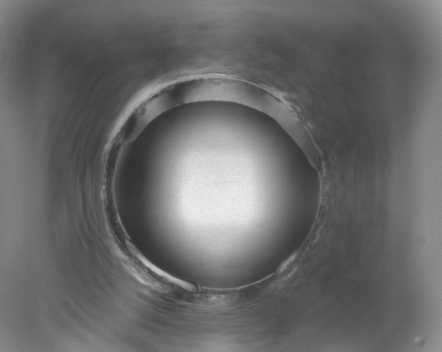 X0000078310056200611172225