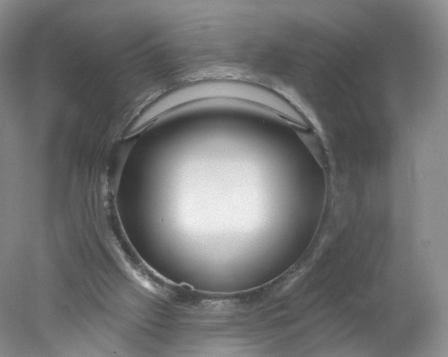 X0000078310057200611172225