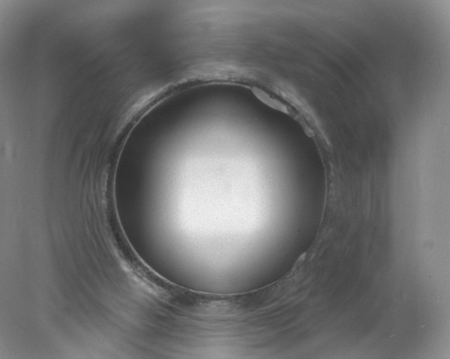 X0000078310058200611172225