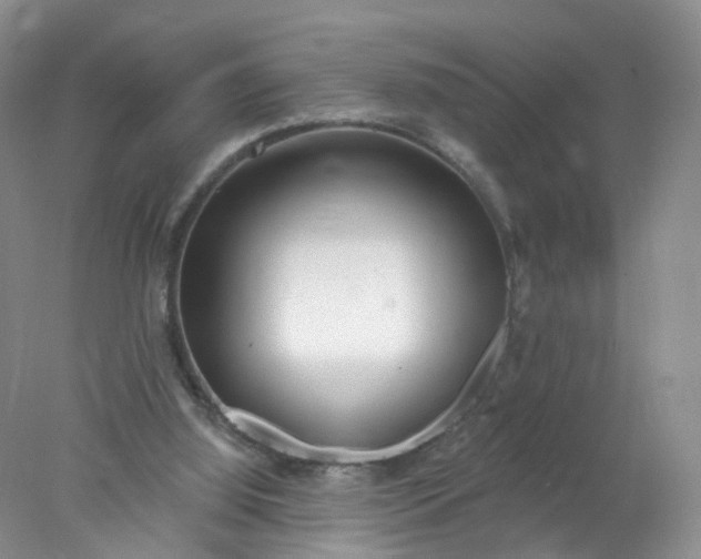 X0000078310060200611172225