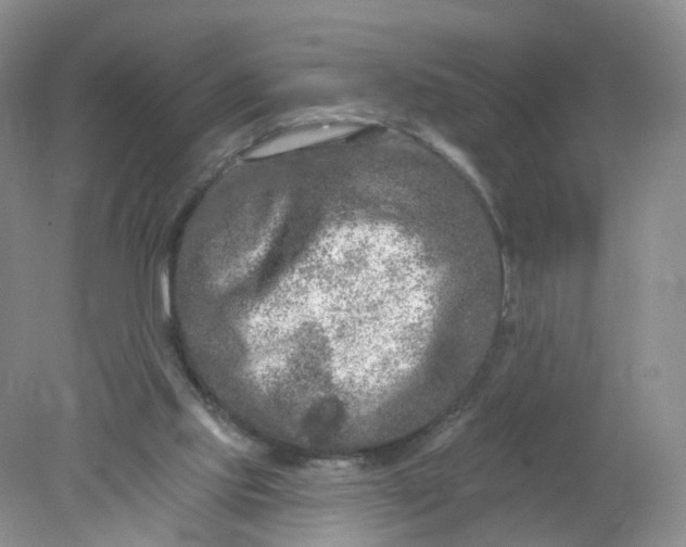 X0000078310061200611172225