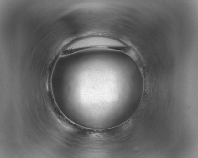 X0000078310062200611172225