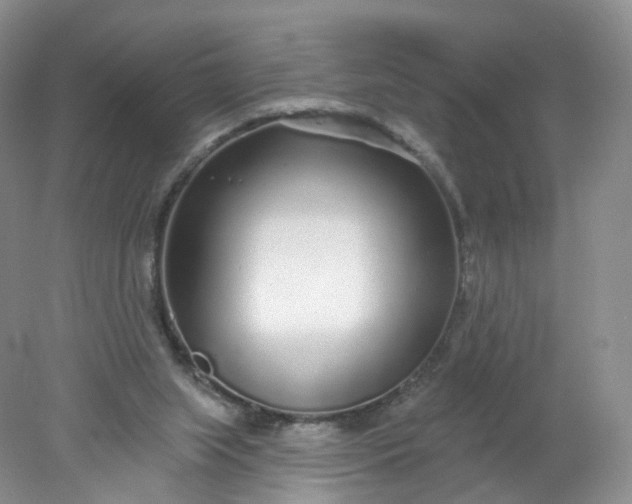 X0000078310063200611172225