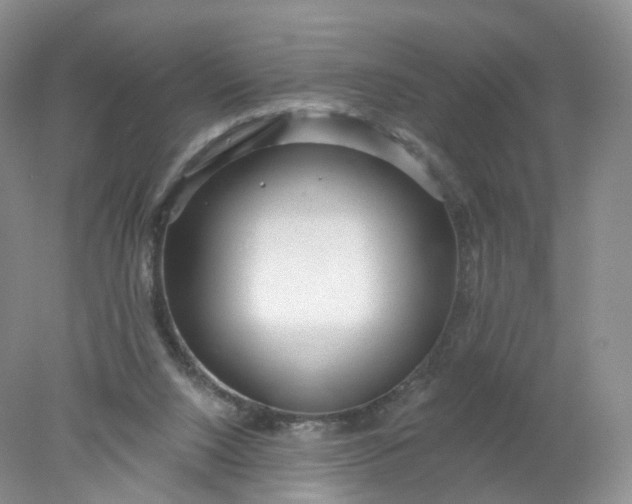 X0000078310064200611172225