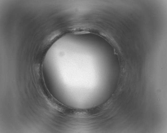 X0000078310066200611172225