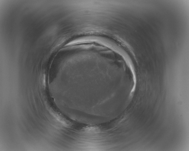 X0000078310067200611172225