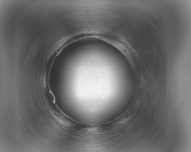 X0000078310068200611172225