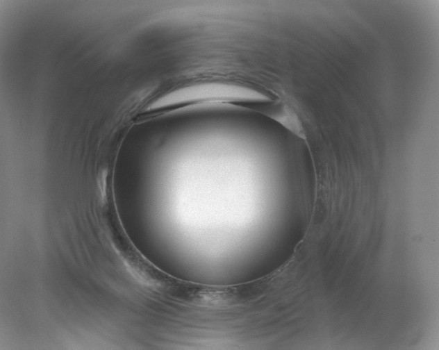 X0000078310070200611172225