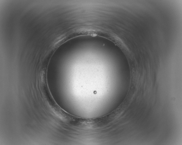 X0000078310071200611172225