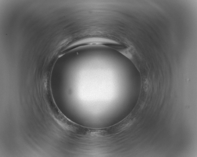 X0000078310072200611172225