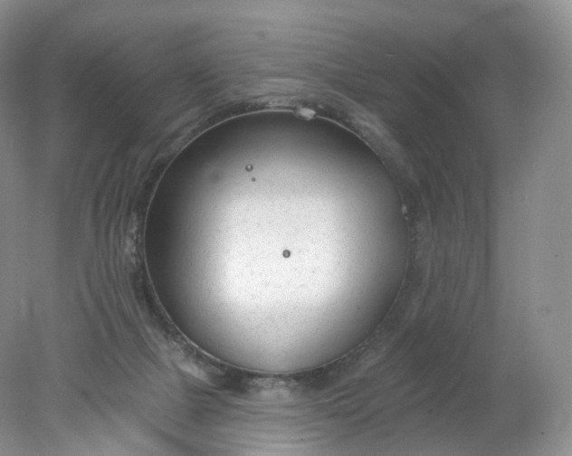 X0000078310073200611172225