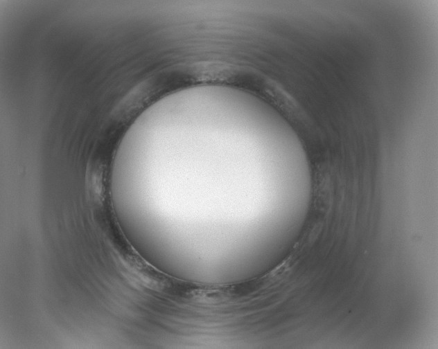 X0000078310074200611172226