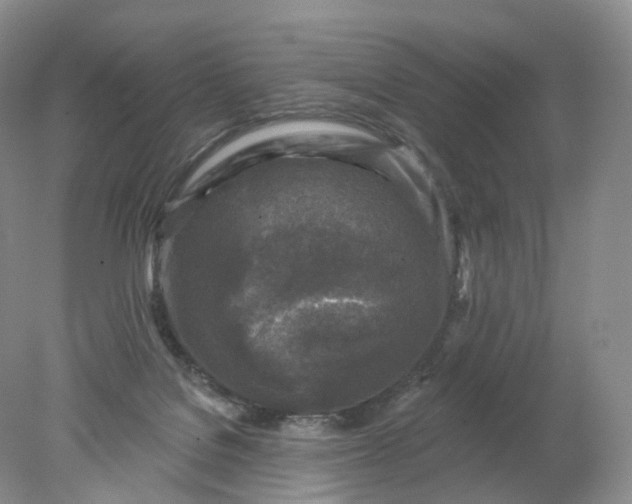 X0000078310076200611172226