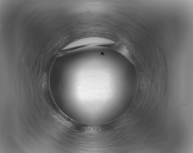 X0000078310077200611172226