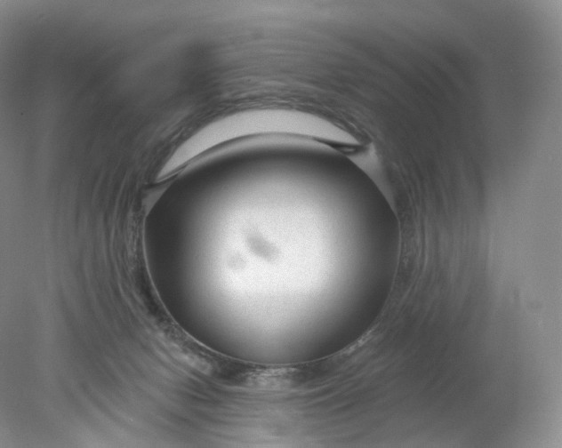 X0000078310078200611172226