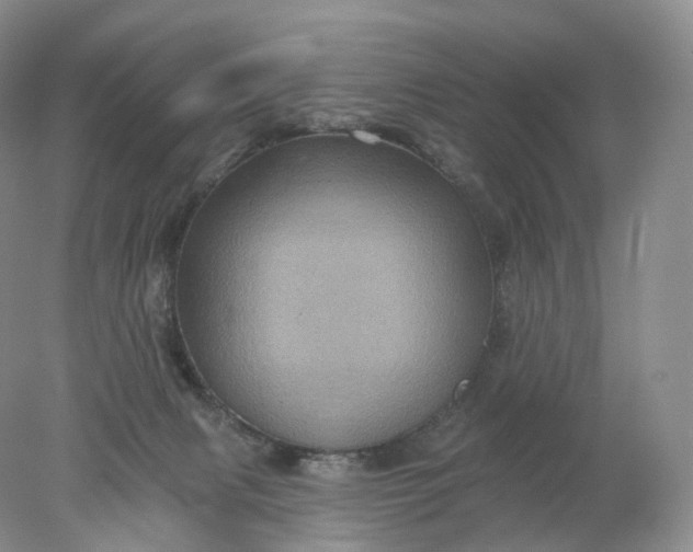 X0000078310079200611172226