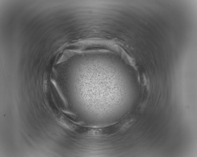 X0000078310080200611172226