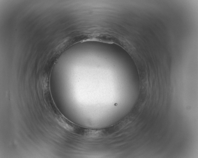 X0000078310081200611172226