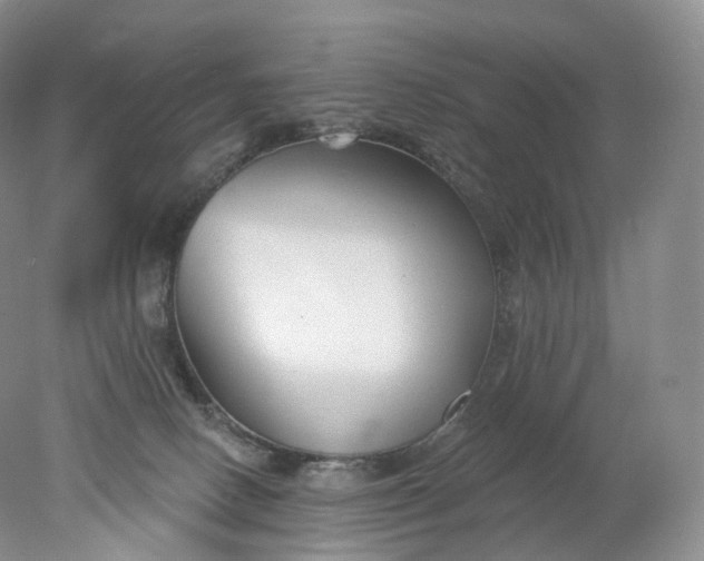 X0000078310082200611172226