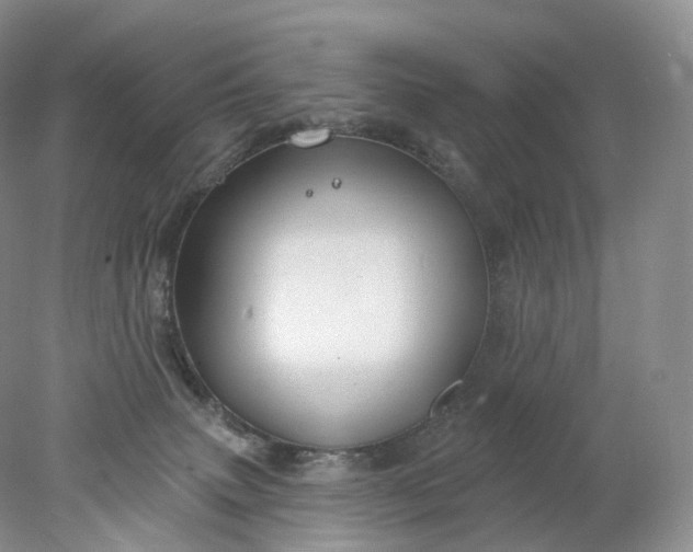 X0000078310083200611172226