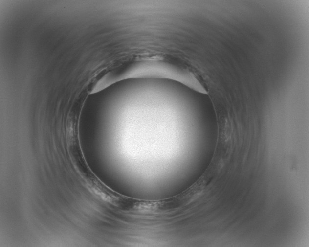 X0000078310084200611172226