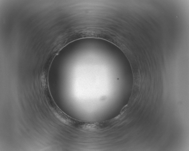 X0000078310086200611172226