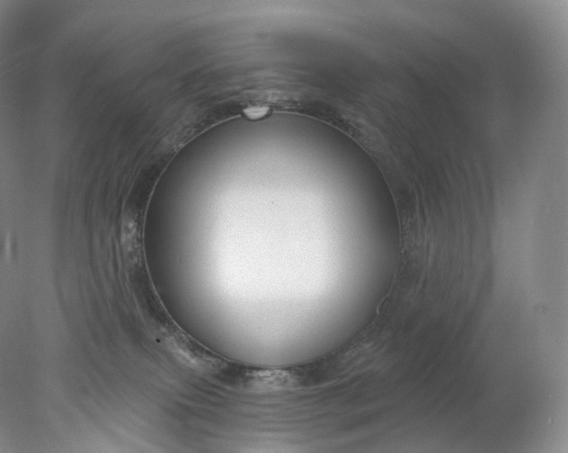 X0000078310087200611172226