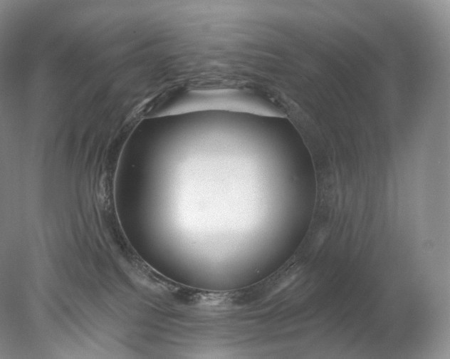 X0000078310088200611172226