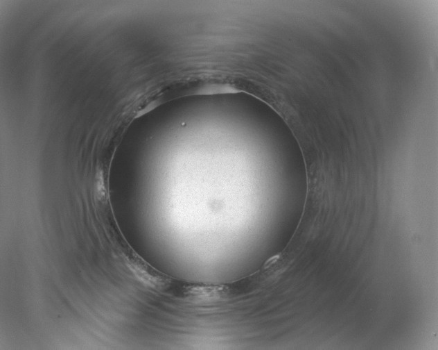 X0000078310089200611172226