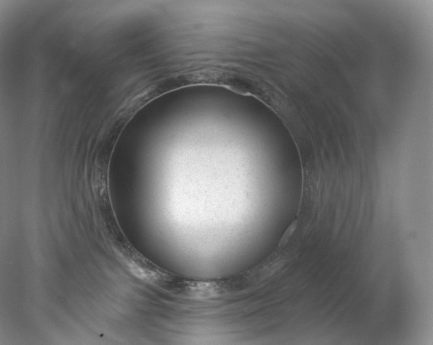 X0000078310091200611172226