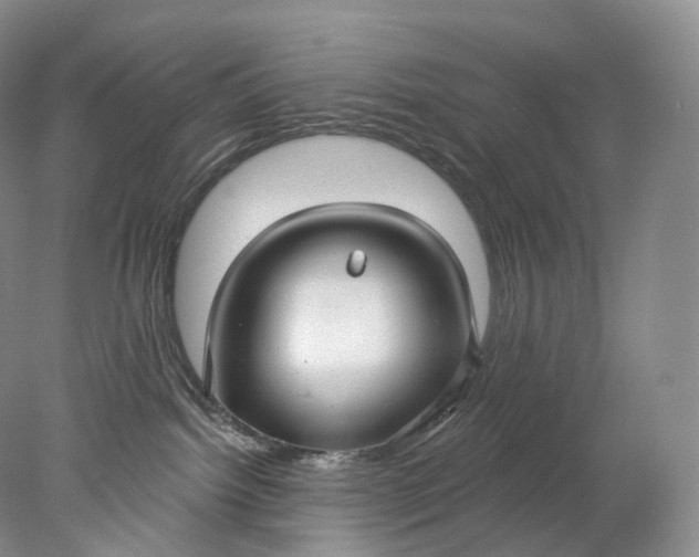 X0000078310092200611172226