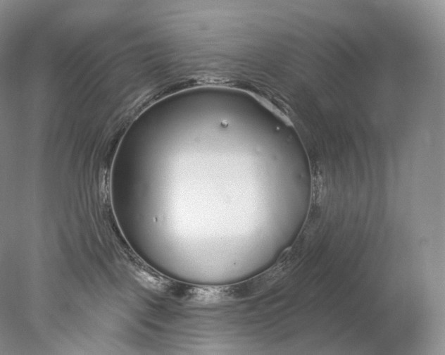 X0000078310093200611172226